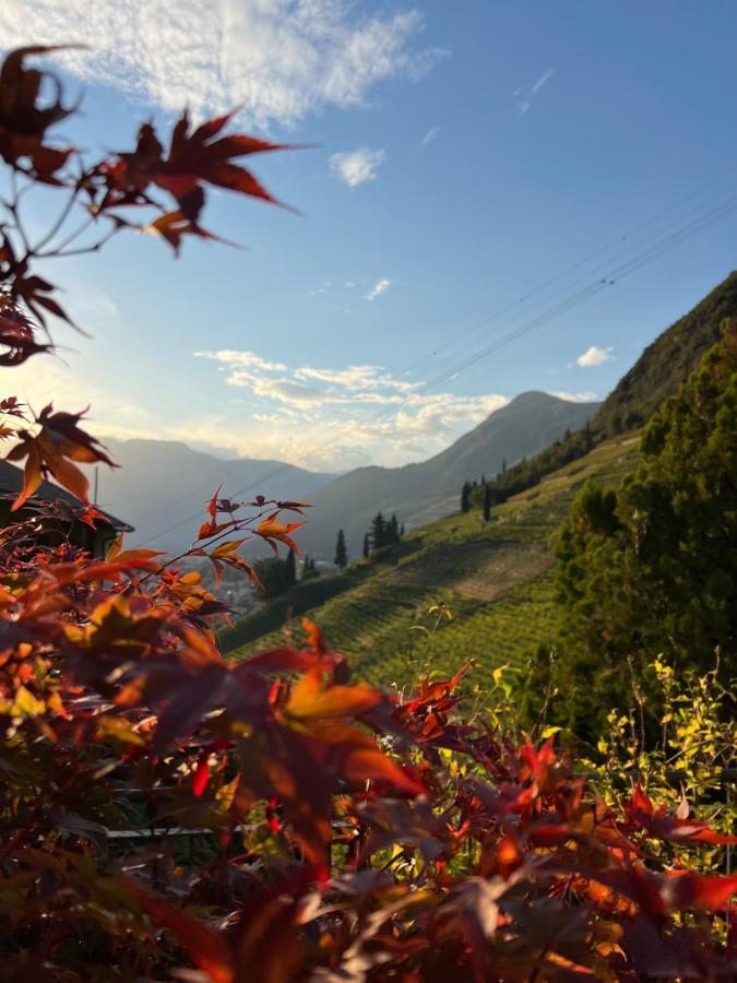 Weingut Eberlehof Appartement Bozen Buitenkant foto